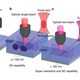 Illustration for article titled Researchers Have Found a Way To Cram 1,000 Terabytes Onto a Single DVD
